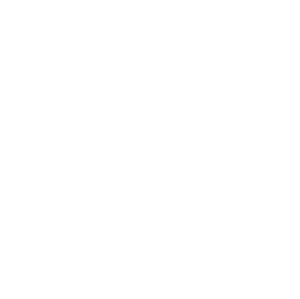 North Carolina Central University: The Eagle Promise 